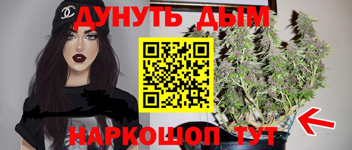 Бошки марихуана планчик  Вход с VPN  МАРИХУАНА Amnesia  Кохма  Марихуана Amnesia 